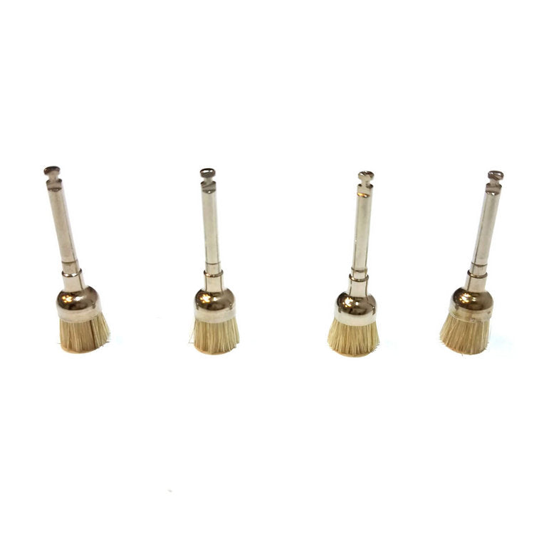 Prophy Brush 100 pcs / pack