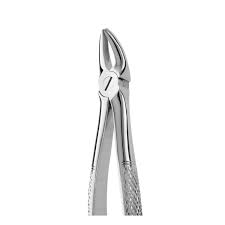 Upper Premolar  Forceps