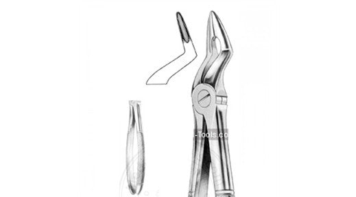 Forceps Upper Remining Root